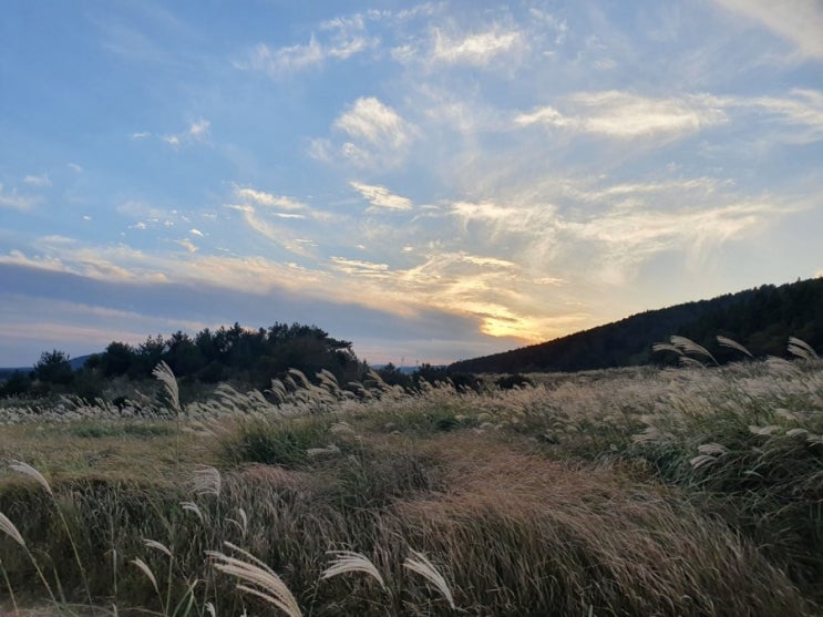  일상 | 가을 힐링 사진 모음
