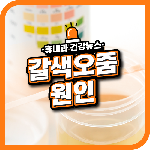  갈색오줌 원인은? 붉은색 오줌 건강상태!