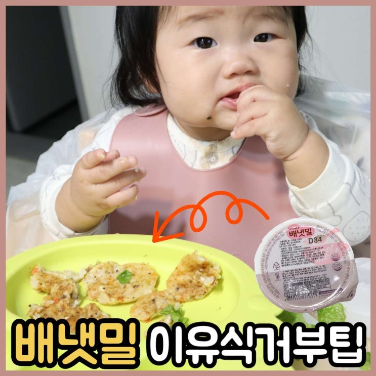  9개월아기 후기이유식거부는 배냇밀 아이주도이유식으로 극복