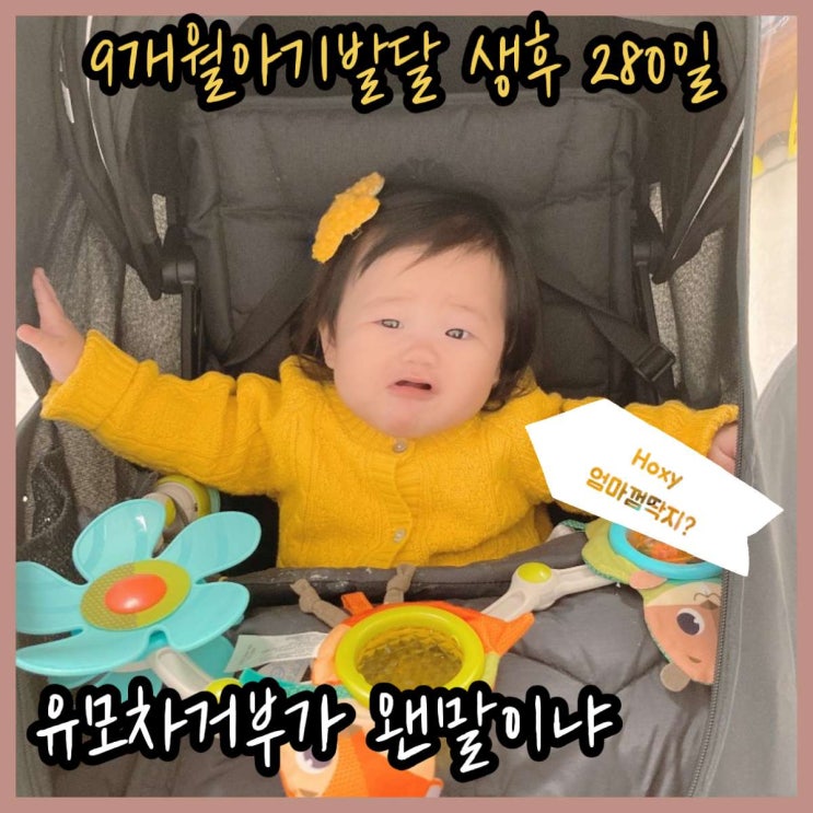  생후 9개월 아기발달 물건 떨어뜨리기 바나나차차 유모차거부