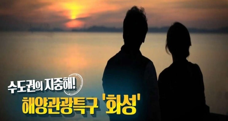  탄도항 가볼만한곳, 깨끗하고 저렴한 펜션 추천