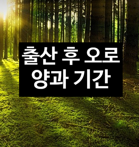  출산 후 오로가 나오지 않아요
