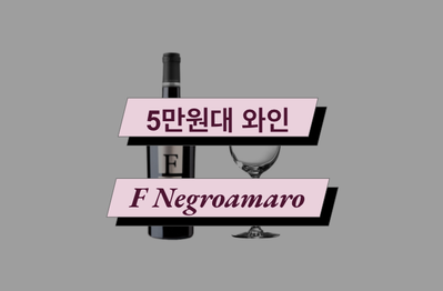  5만원대 와인 추천 <F 네그로아마로> 깊은 풍미의 가성비 와인