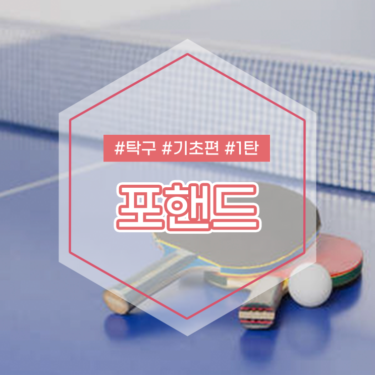  효미쌤이 알려주는 탁구 기본자세 기초편 1탄 포핸드