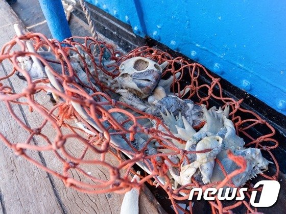 석유 시추 씨름하던 SK이노베이션, 폐플라스틱서 원유 뽑는다