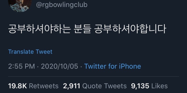  2020.10월#3.제50회/한능검/포베이/쌀국수/피어싱/코스모스/꽃놀이