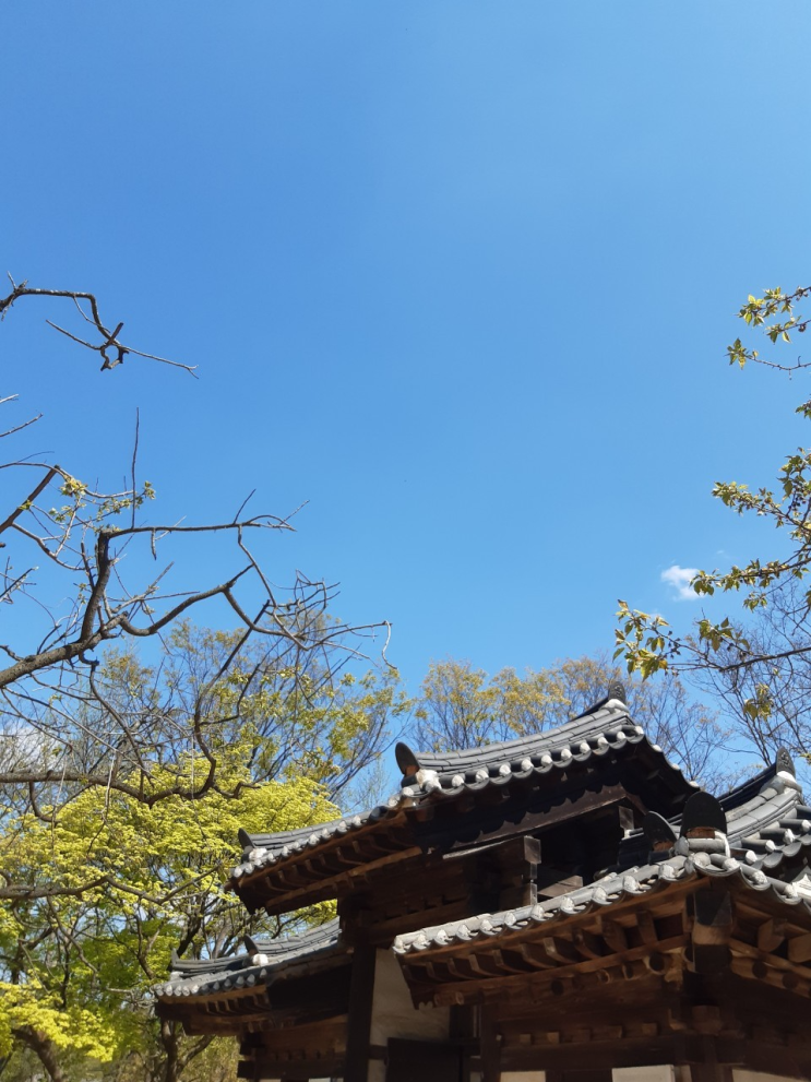  [경기 용인] 과거와 현재가 만나는 곳, "한국민속촌"