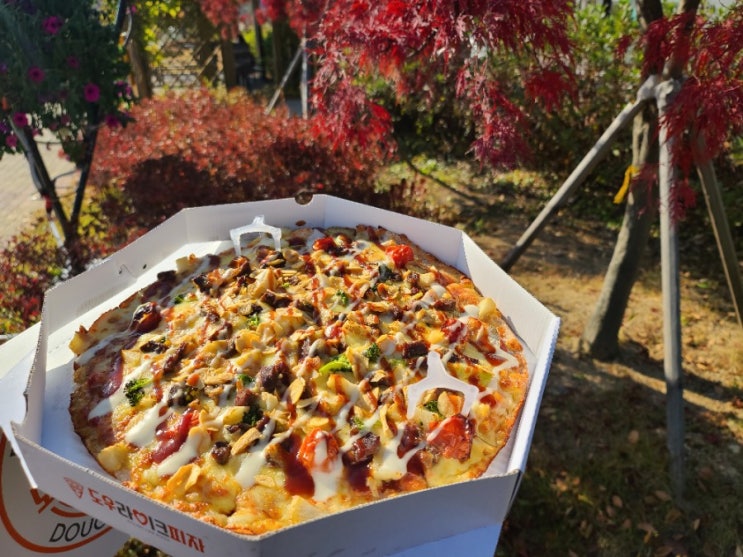  평촌학원가맛집, 도우라이크피자 방문포장 후 야외로~