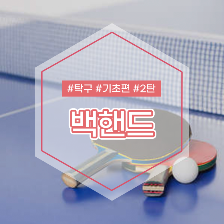  효미쌤이 알려주는 탁구 기본자세 기초편 2탄 백핸드