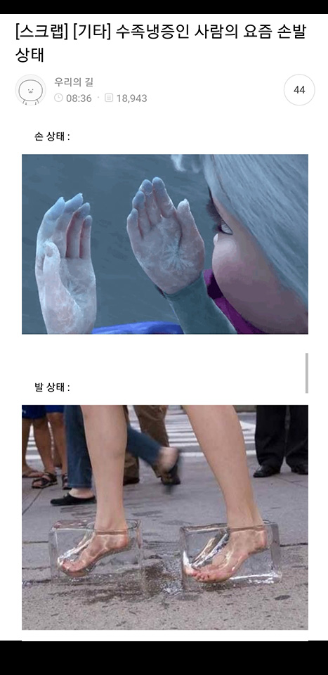  11월10일 커뮤니티를 떠돈 웃긴짤들ㅋ⫬ㅋ⫬ㅋ⫬⫬