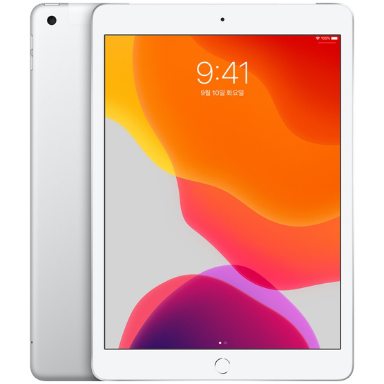 Apple 2019년 iPad 10.2 7세대, Wi-Fi+Cellular, 128GB, Silver
