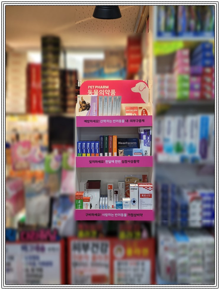  [PET PHARM] 동물의약품 설치 및 약품목록