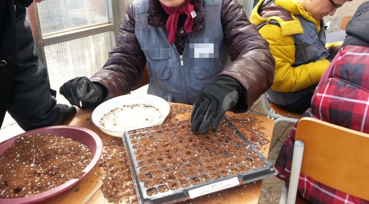  발아 작업 수업