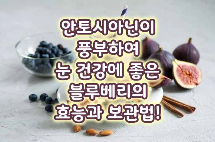  안토시아닌이 풍부하여 눈 건강에 좋은 블루베리의 효능과 보관법!