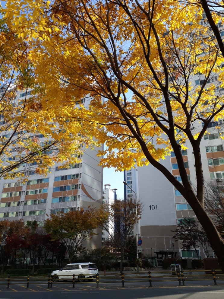  가을 데이트