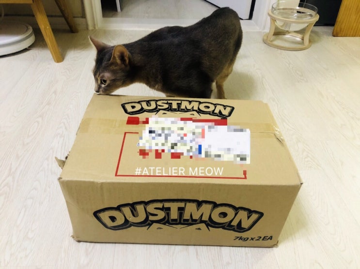  [내돈내산] 고양이 화장실 벤토나이트 모래 추천 더스트몬 타이니 (dustmon tiny) 실사용 후기 / 펫올나잇 더스트몬 구매 후기 / 냥포인트몰 냥쿠폰 사용방법