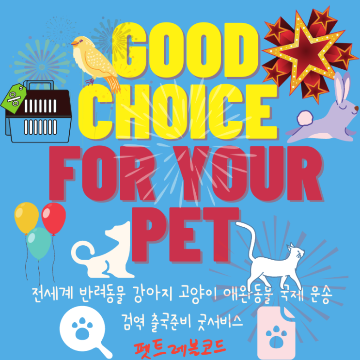  강아지 고양이 검역 해외운송 규정외 페럿 페릿[족제비]한국 입국 출국규정