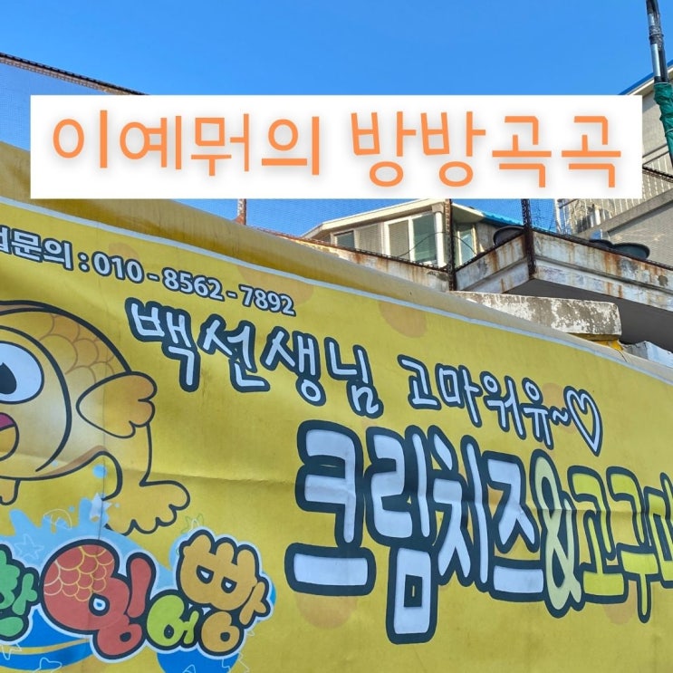 회기 붕어빵 골목식당 '행복한 붕어빵' 회기 붕어빵 골목식당 '행복한 붕어빵'