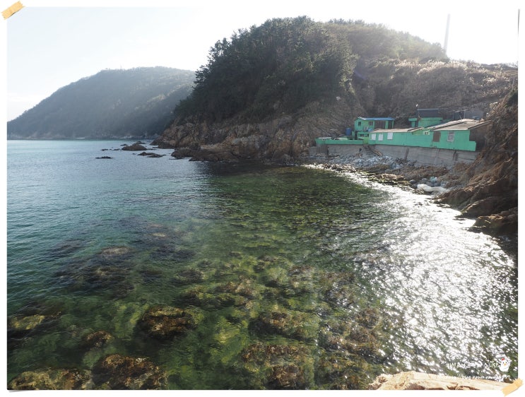  부산 루어 낚시 포인트 영도 하리(볼락,쏨뱅이)탐사
