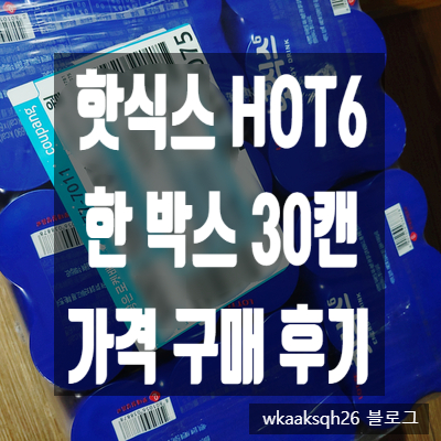  [에너지 드링크]핫식스 한박스 구매 가격 후기