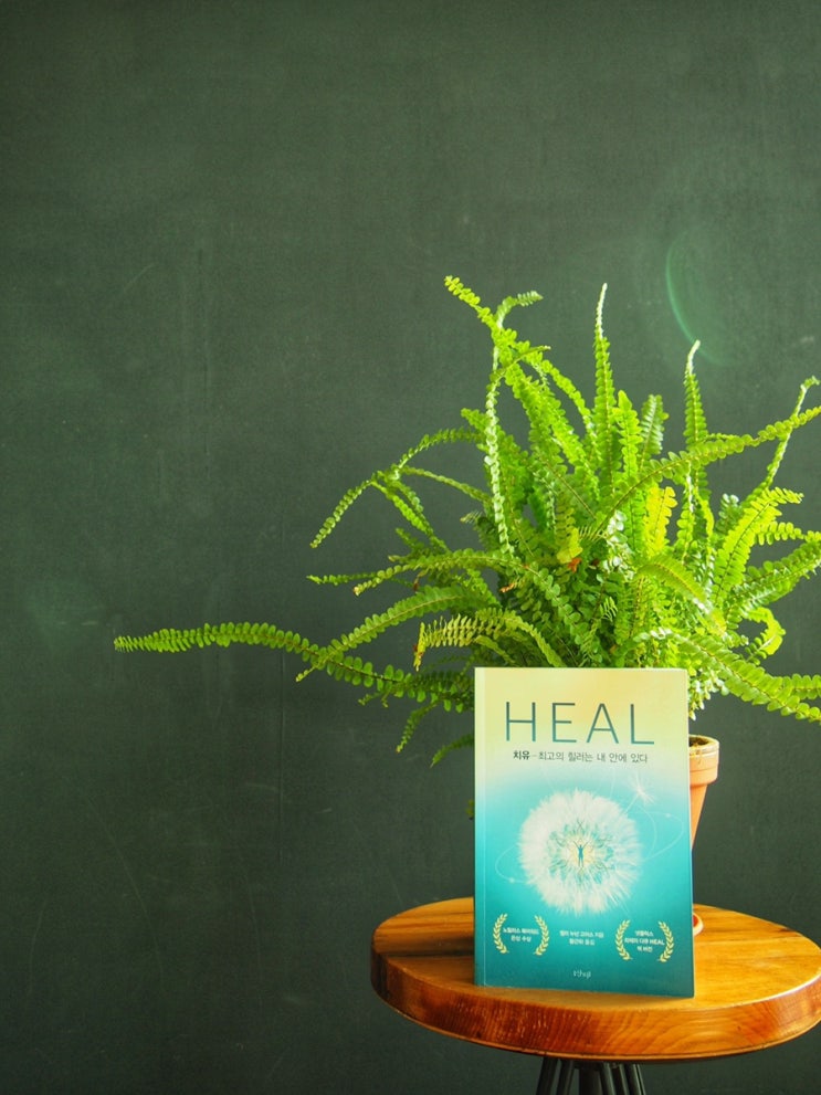  HEAL 치유-최고의 힐러는 내 안에 있다 책 리뷰,를 빙자한 아픈 이의 하소연
