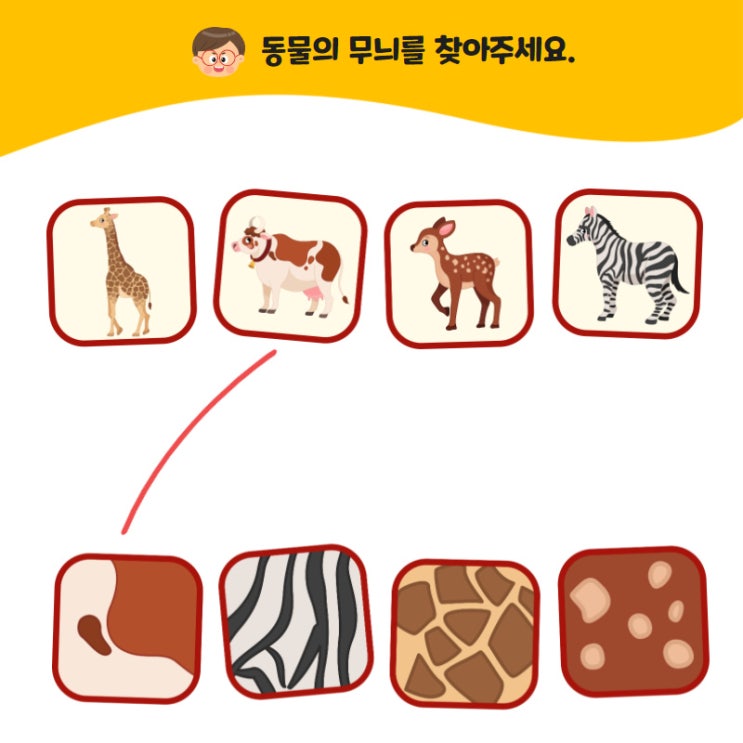  동물의 무늬를 찾아주세요