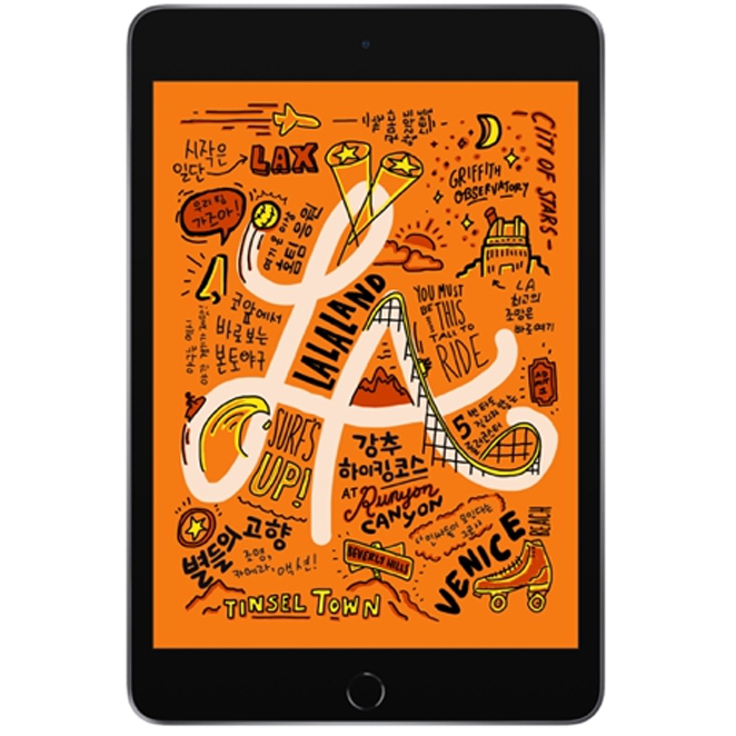  Apple 2019년 iPad mini 5세대, Wi-Fi, 256GB, Space Gray