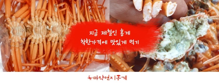  연지홍게 수율80% 홍게찜 , 홍게라면 우리집이 맛집