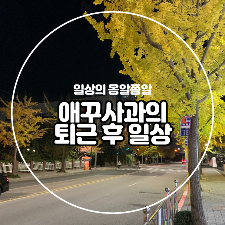 애꾸사과의 일상로그(feat.해운대 24시 오빠분식 메뉴)