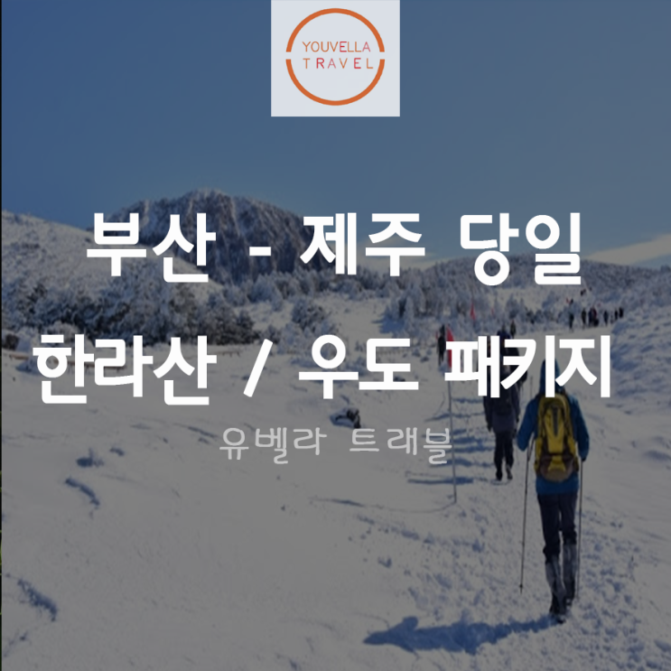 [부산출발] 제주도 당일 한라산 등반, 우도관광 패키지 티웨이항공