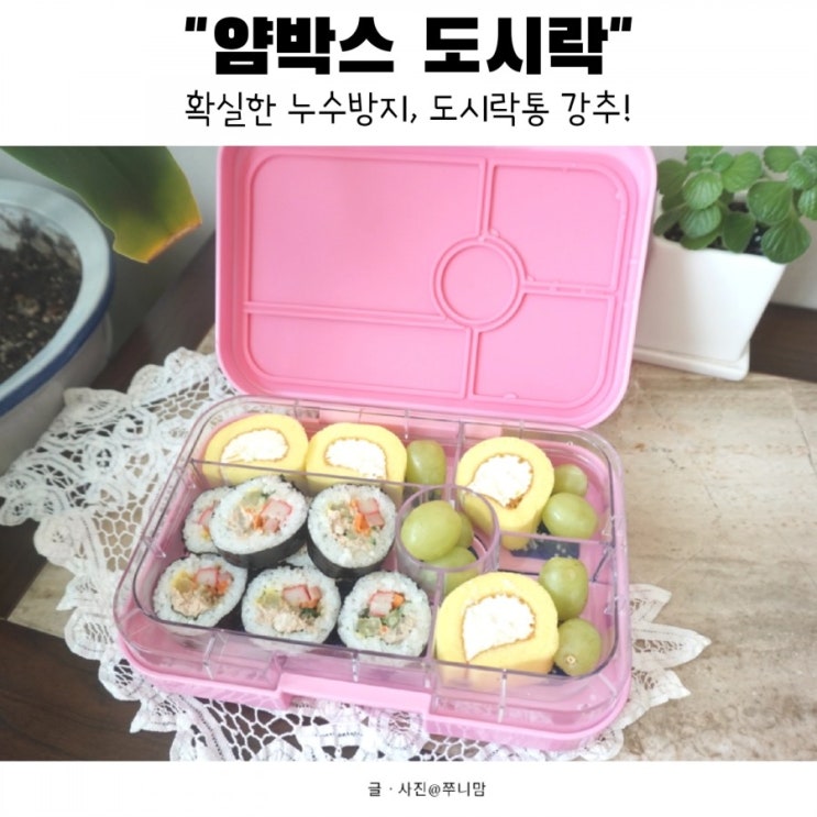  물을 넣어도 1도 새지않는 얌박스 도시락통 추천!