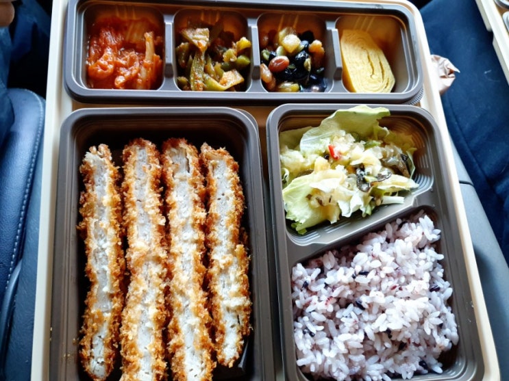  도시락 추천, 도시락의 퀄리티가 이 정도라고?? 본 도시락 복정 대학로점