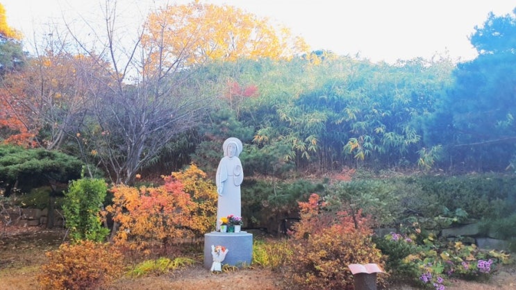  [망원동 절두산순교성지] 위령성월 십자가의 길로 전대사 받자