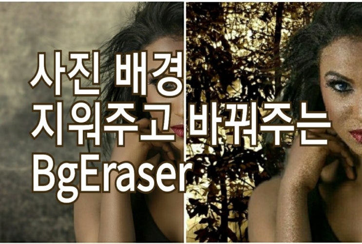 <개꿀팁> 사진 배경 지우기 원터치 누끼따기 App. : BgEraser <개꿀팁> 사진 배경 지우기 원터치 누끼따기 App. : BgEraser