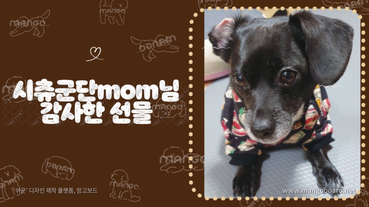 시츄군단MOM 님의 강아지의류와 빵굳고로케가 도착했어요.( w. 감사한 재능기부 ) 시츄군단MOM 님의 강아지의류와 빵굳고로케가 도착했어요.( w. 감사한 재능기부 )