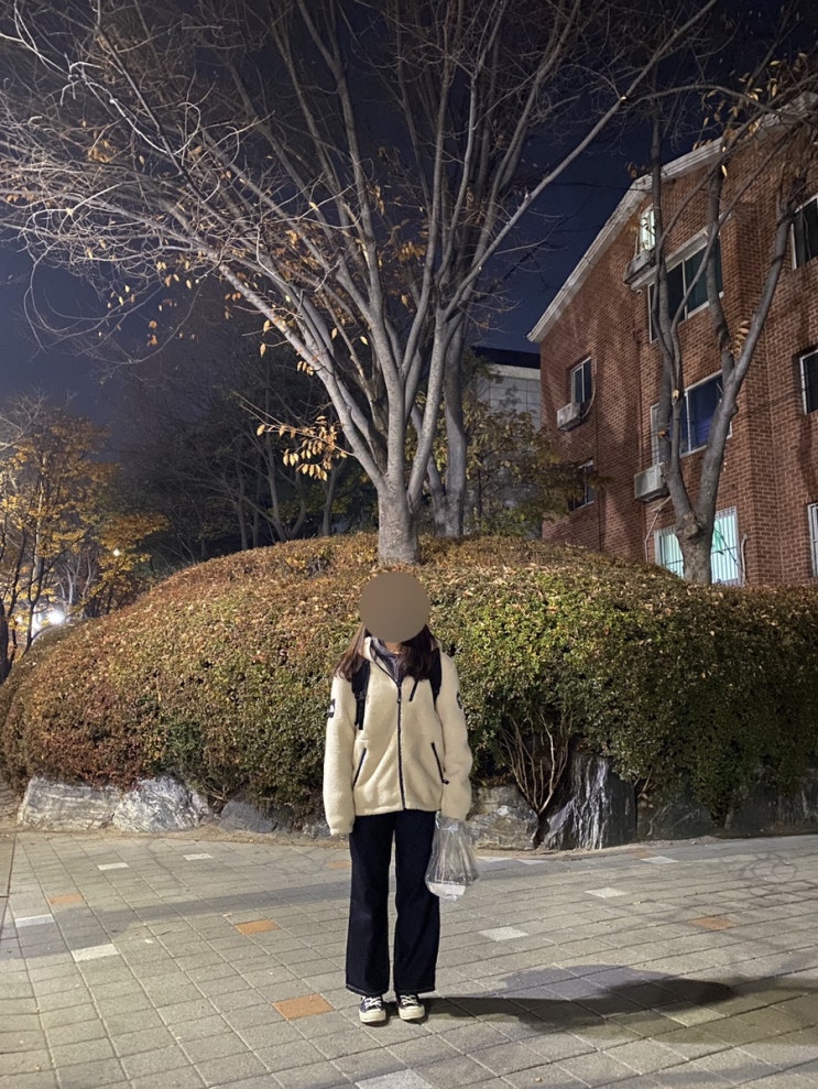  후리스 추천 노스페이스 리모 플리스 자켓 NJ4FL56 후기