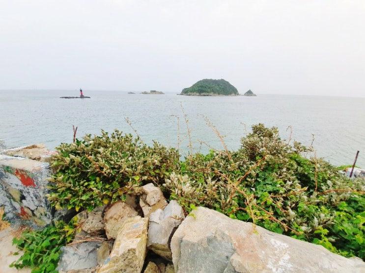  부산 다대포에 가시면 몰운대 전망대 꼭 다녀오세요