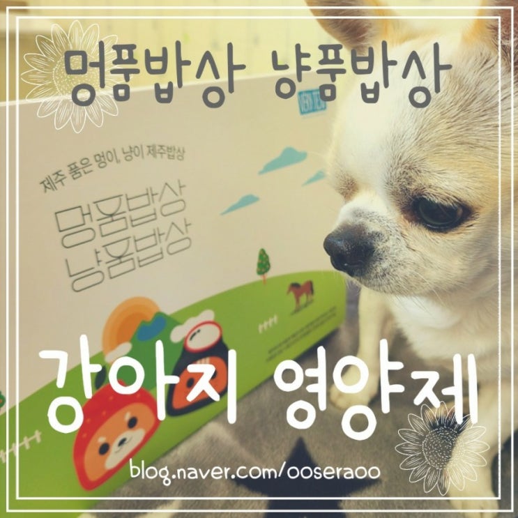 강아지 영양제 - 멍품밥상 냥품밥상 아미노산 종합영양제 강아지 영양제 - 멍품밥상 냥품밥상 아미노산 종합영양제