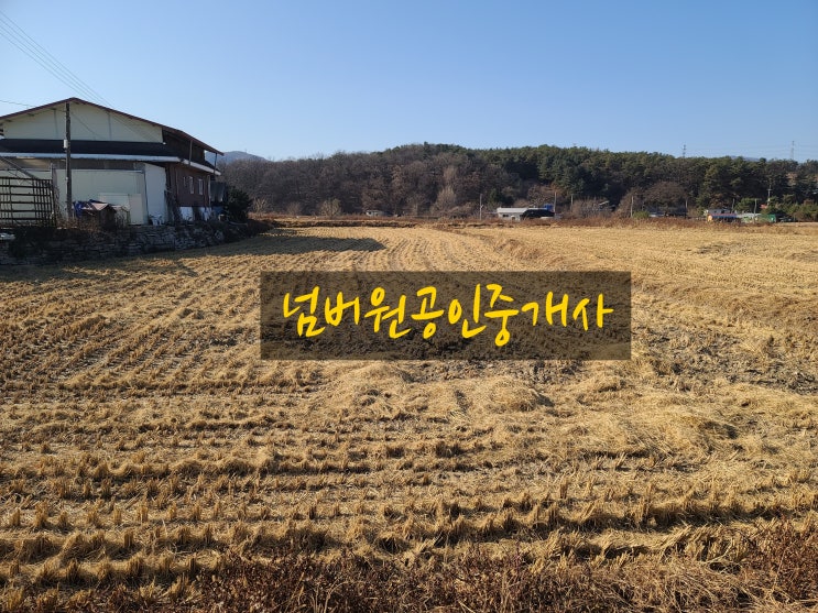  포천시 신북면 삼성당리 농지매매