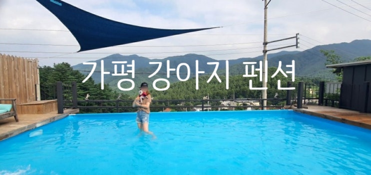  가평 강아지 펜션 하루강아지애견펜션 솔직후기