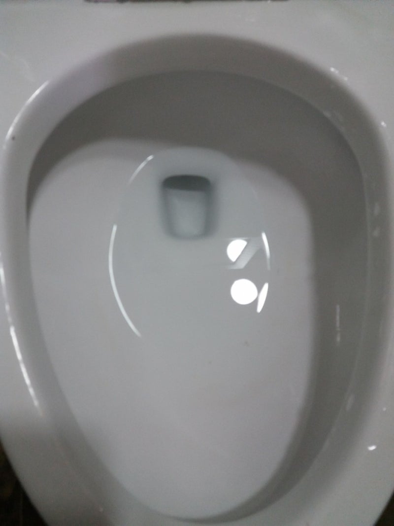 화장실 변기 막혔을 때 만능 다이소 관통기