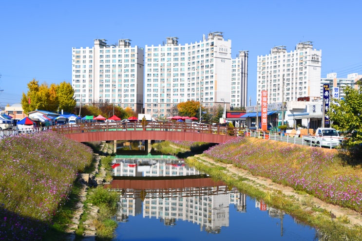  정겨움이 오가는 강경 대흥시장