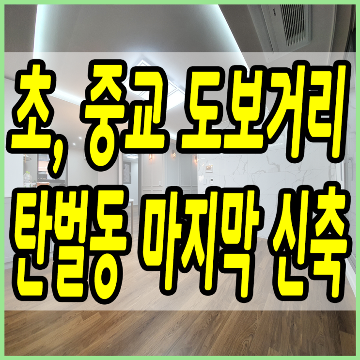  탄벌초 탄벌중 인근에 대단지로 조성된 탄벌동신축빌라