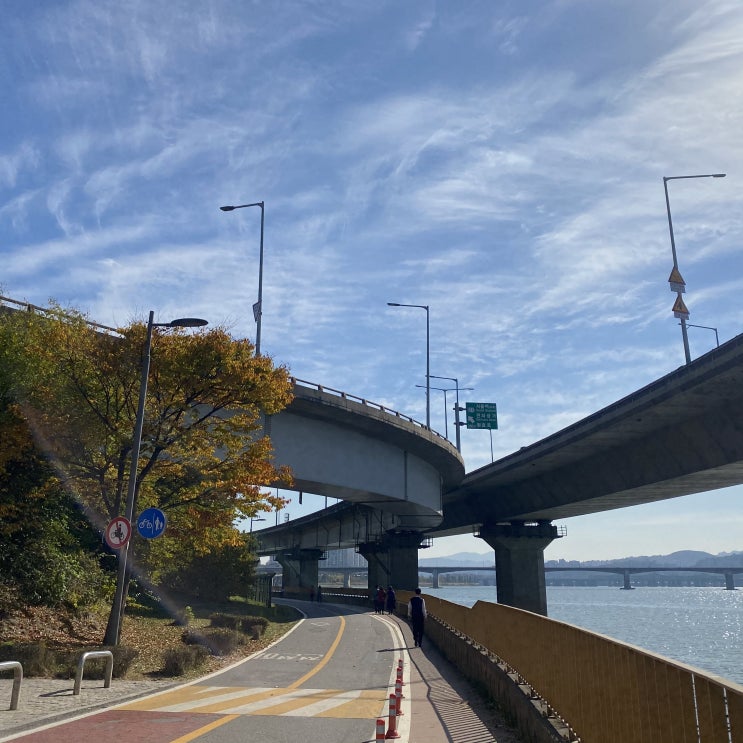  11월 첫째주 일기