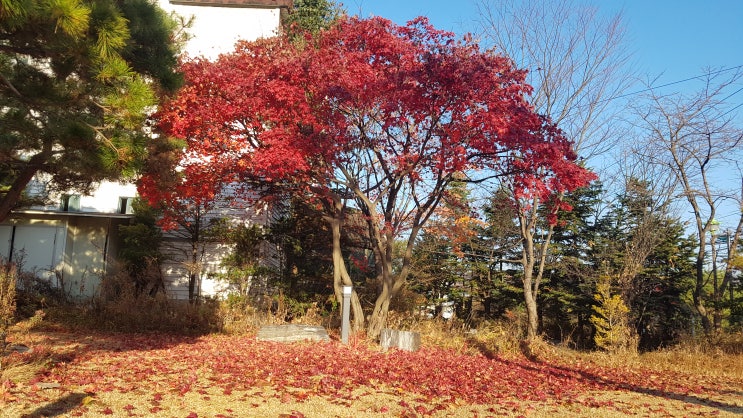  주민설명회 1주년을 맞으며