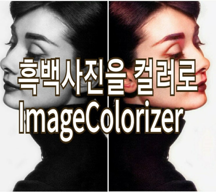 &lt;개꿀팁&gt; 흑백사진을 컬러로 변환 쉽고 심플한 App. : ImageColorizer