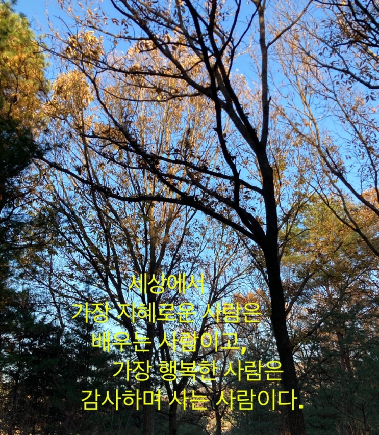  짧고 좋은 한 줄 감사 명언 글귀