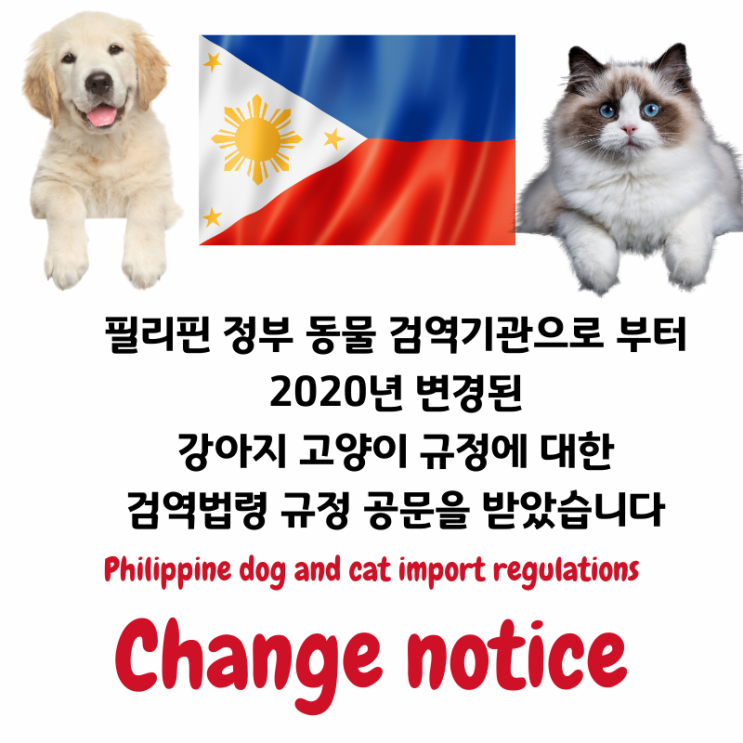  반려동물해외운송 반려동물해외출국 강아지 고양이 출국 검역 카고 화물