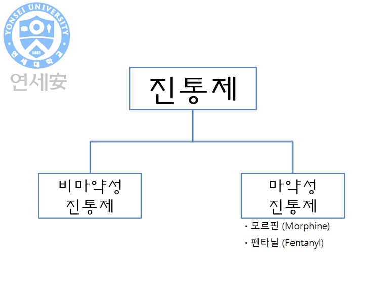  [약품 정보] 내 통증에 맞는 진통제는 과연 무엇일까?