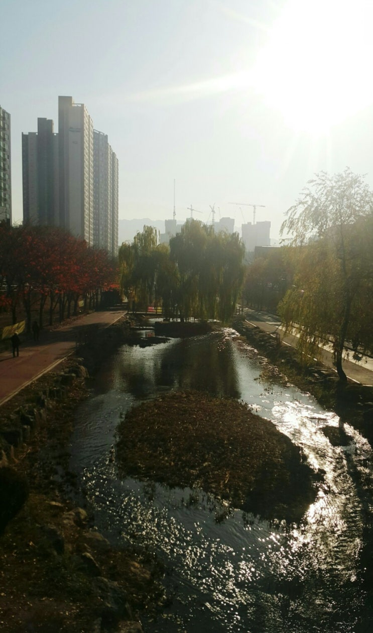  성내천
